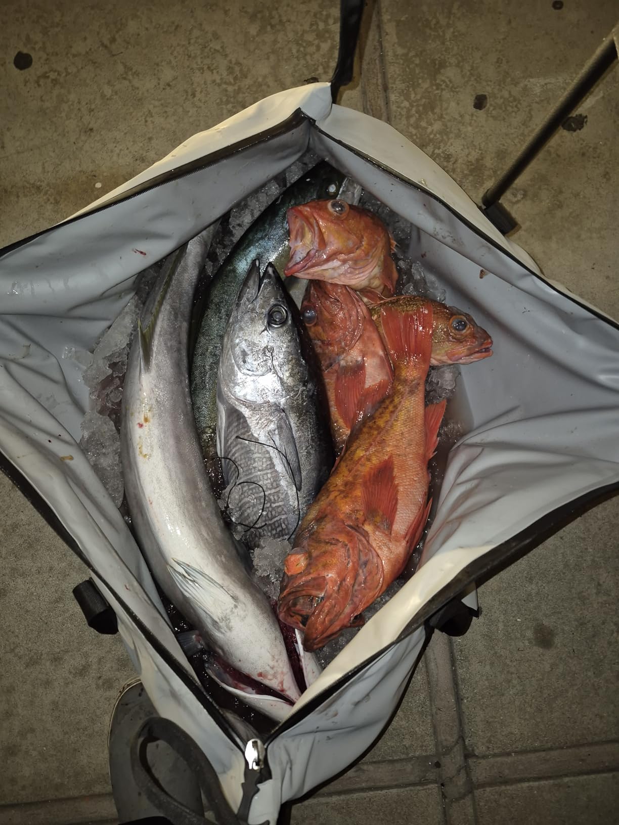 48'' Fish Kill Bag Game Bag Leak Proof Insulated for Offshore Inshore Fishing Designed in USA (48X24) customer photo 2