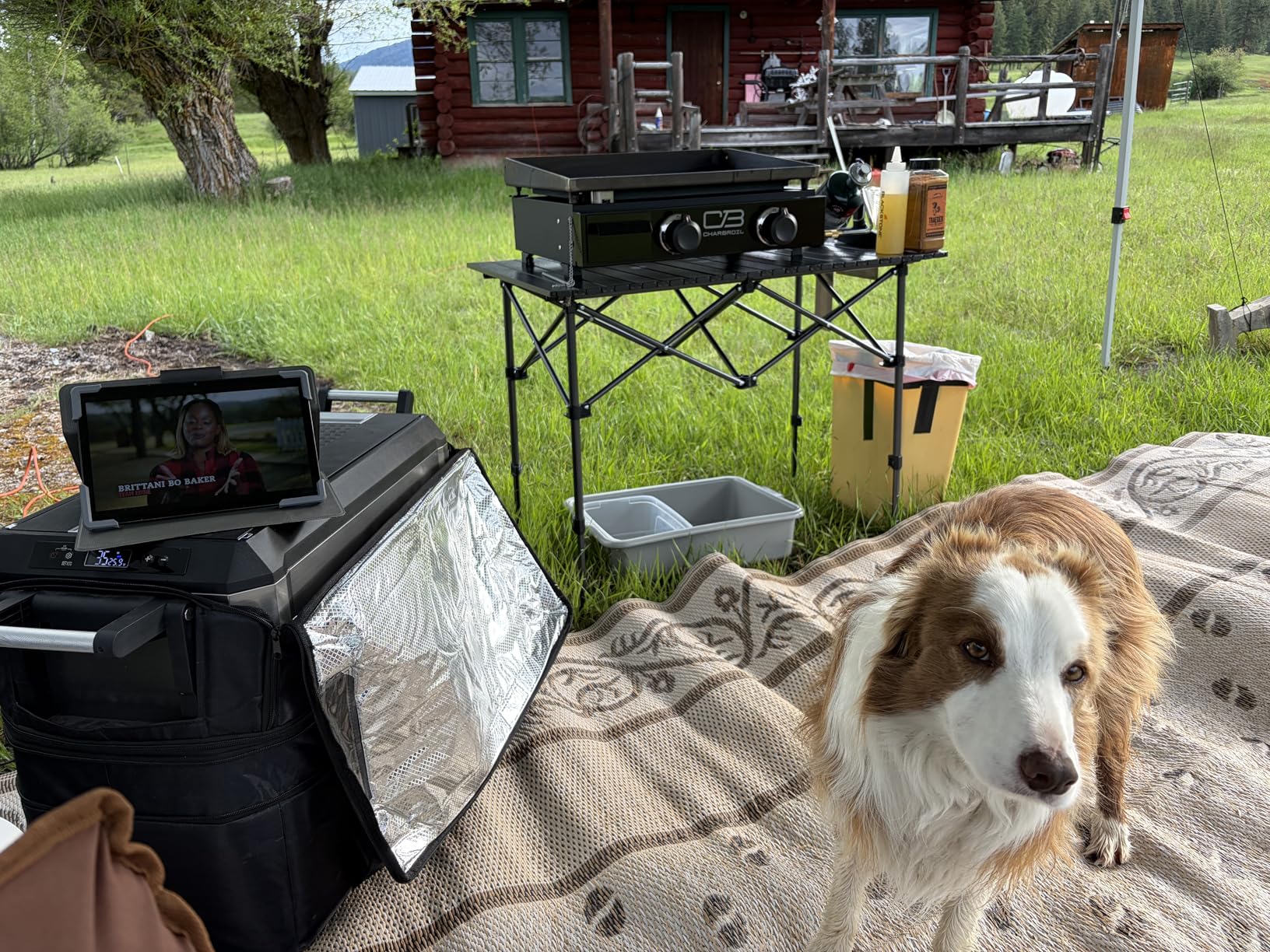 Folding Camping Table, Portable Aluminum Adjustable Height, Black | Roll-Up Camp Lightweight table with Carry Bag, 9 lb Weight, 21.7