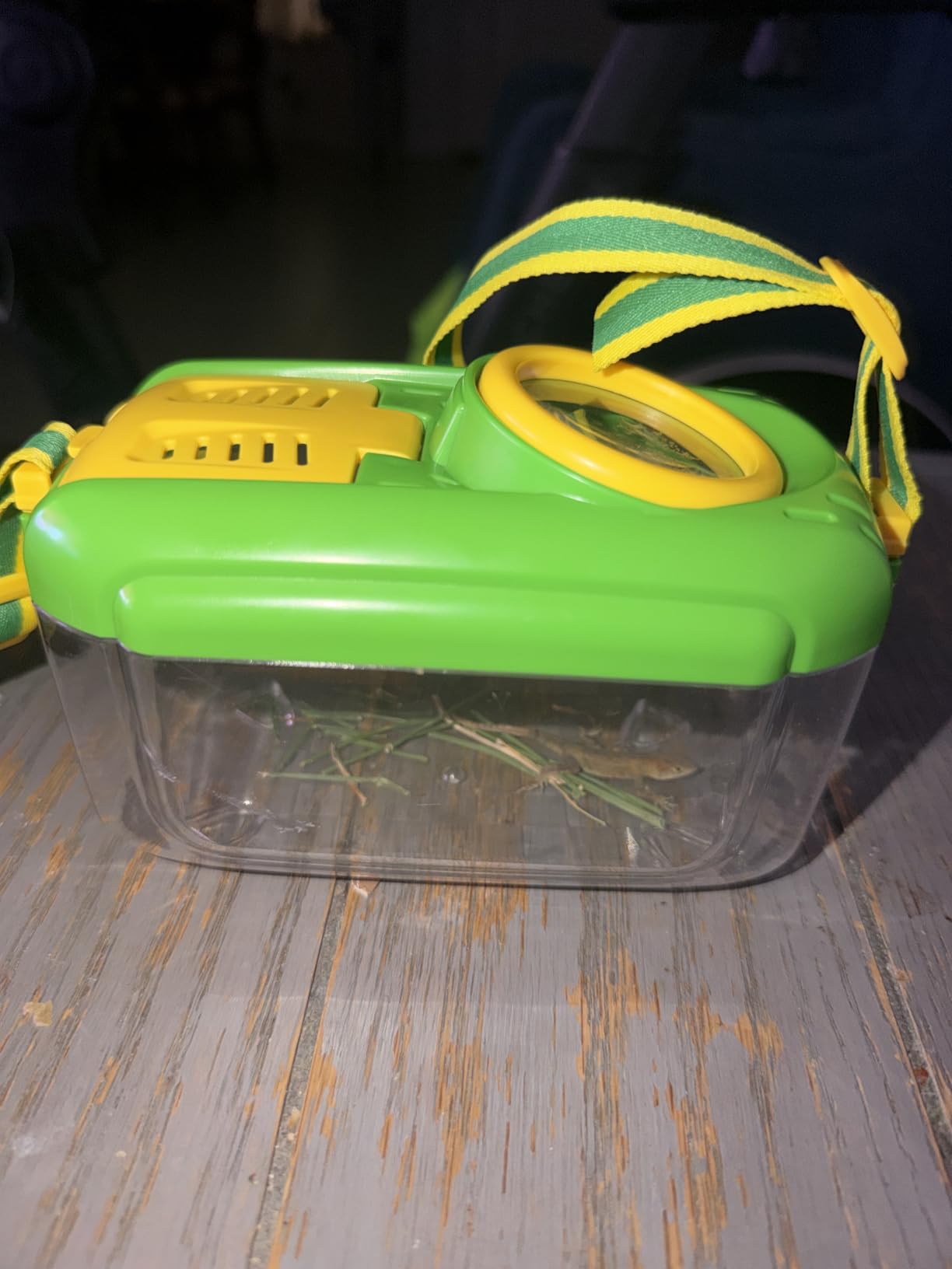 Bug Catcher for Kids, 17 PCS Bug Catching Kit with Bug Collector Toy Bugs | Butterfly Net Magnifying Glass Insect Catcher Tweezers, Outdoor Explorer Kit for Kids Age 3 4 5 6 7 8 customer photo 1