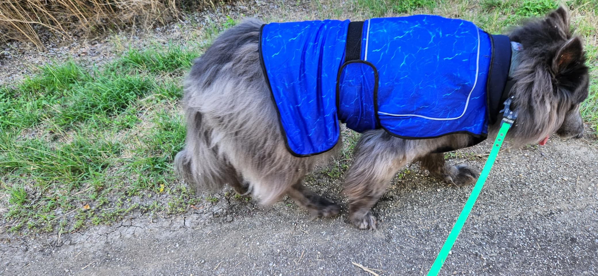 Dog Cooling Vest with Ice Pack & Cooling Collar, Blue Aqua, XL | Maximum cooling support, size-matched ice packs, cooling around neck and body, UV protection customer photo 1