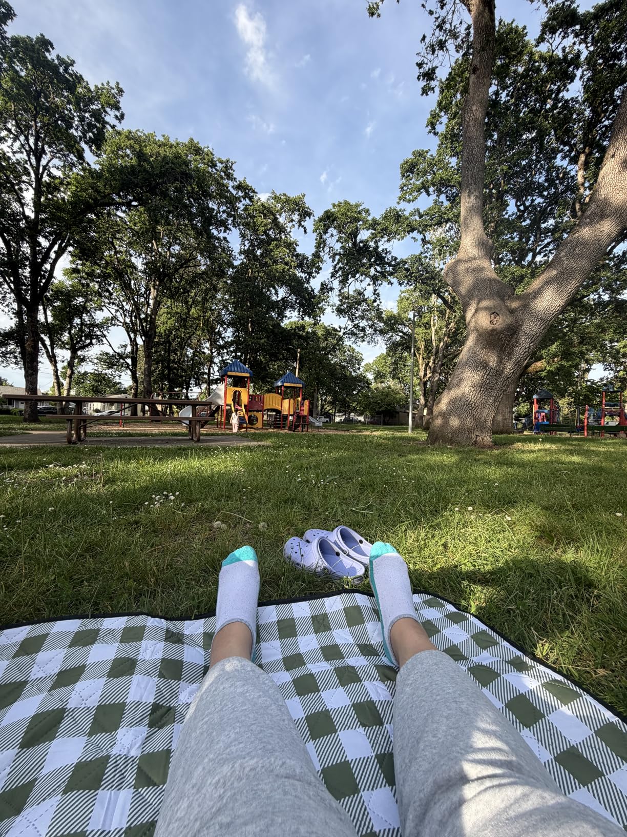 TigeJoy Extra Large Picnic Blanket Waterproof Beach Blanket 80''x80'' | Outdoor Picnic Mat Sandproof for Park, Beach, Grass, Travel, Hiking, Camping Essentials, Gingham Picnic Blanket Foldable customer photo 1