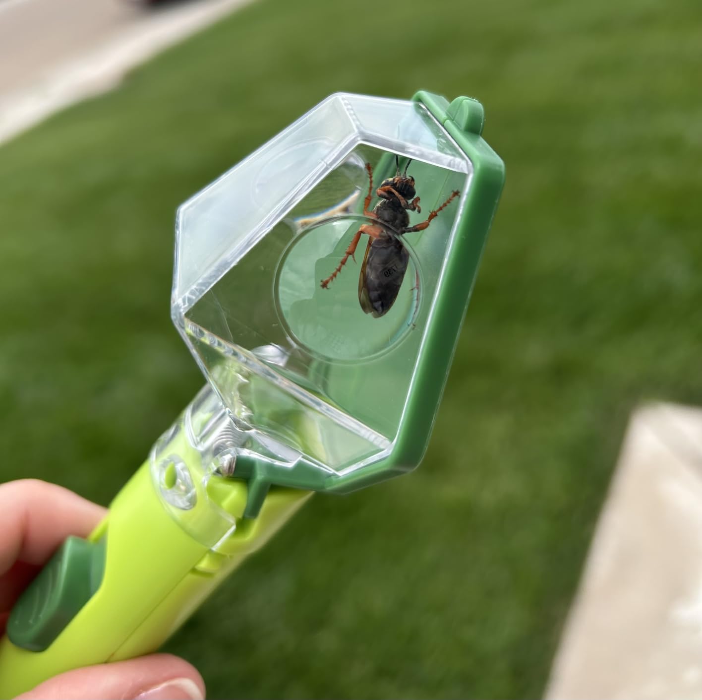 Bug Catcher for Kids, Insect Trap Kit with 6X Magnifier Glass - STEM Educational Exploration Tool for Indoor and Outdoor, Christmas Birthday Gifts Toys for Adults, Boys, and Girls, Green customer photo 1
