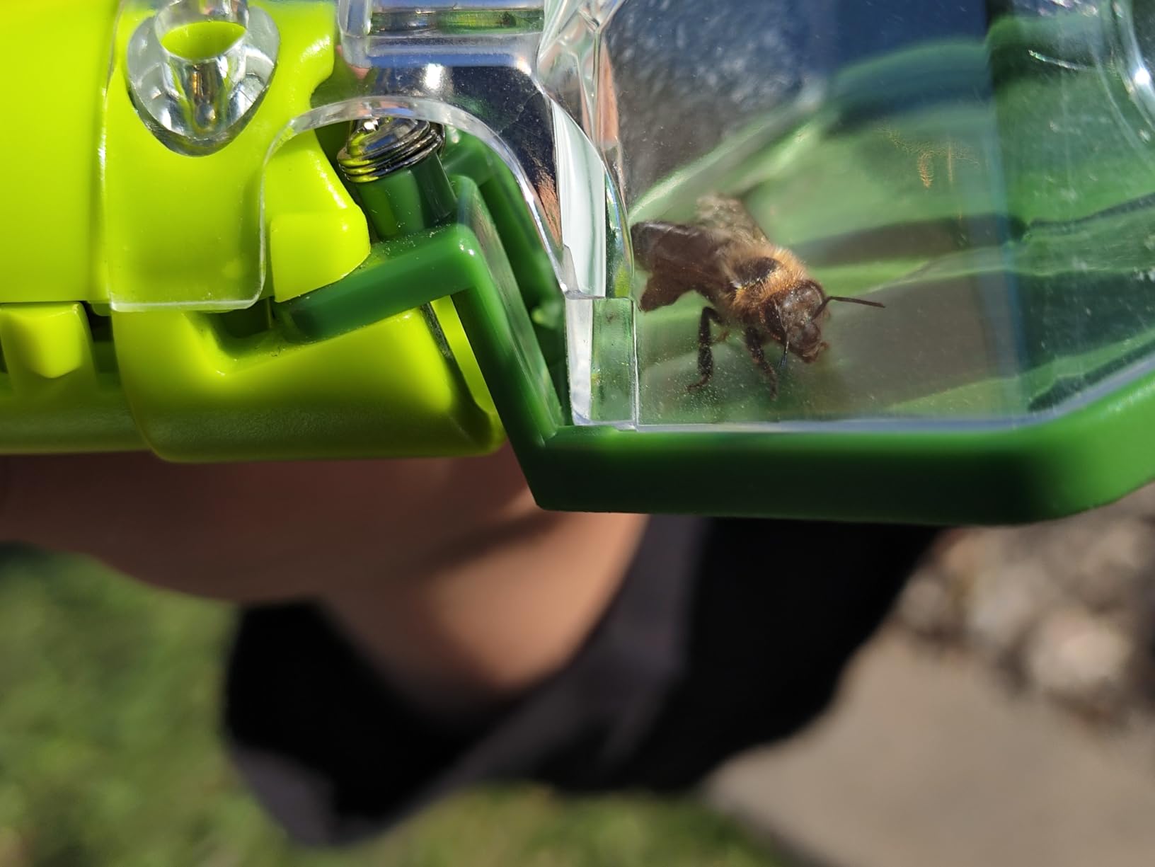 Bug Catcher for Kids, Insect Trap Kit with 6X Magnifier Glass - STEM Educational Exploration Tool for Indoor and Outdoor, Christmas Birthday Gifts Toys for Adults, Boys, and Girls, Green customer photo 2