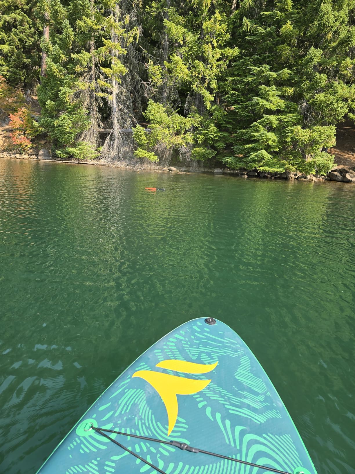 Skypath Paddle Float - Kayak Accessory for Paddle, SUP Board Accessory, High Density Foam, Adjustable EVA w/Hook & Loop Closure, Buoyancy, Kayak Flotation customer photo 2