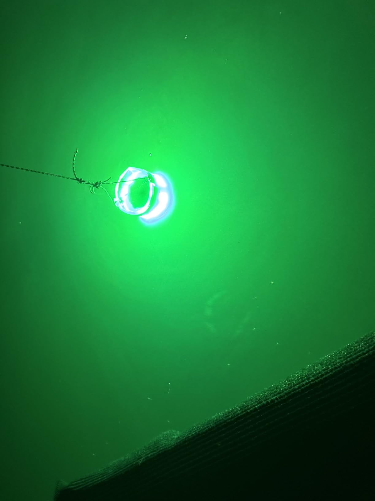 Rechargeable Underwater Fishing Light, 40W-160W, 4 Colors | Auto-on in water with no manual operation. Built-in battery runs up to 16 hours. customer photo 1