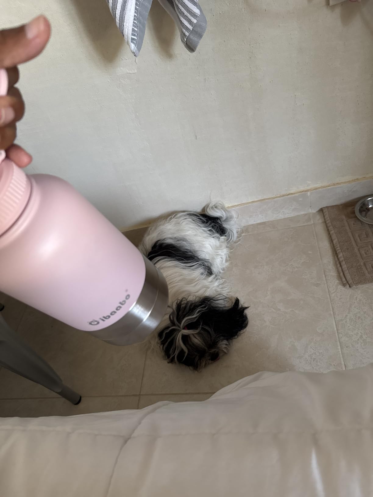 Cibaabo Insulated Dog Water Bottle 32oz Keep Water Cool with 2 Bowls | Travel Feeding & Hydration | Stainless Steel Double Wall Thermos | Portable Pet Dispenser | for Dog & Owner | Hiking Beach customer photo 1