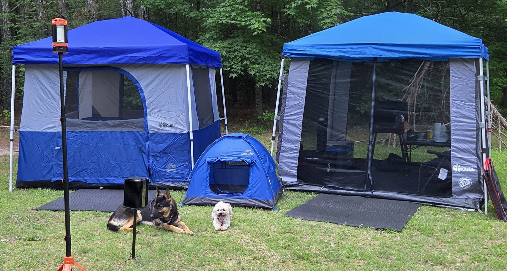 Canine Canyon Luna Portable Dog Tent, Indoor/Outdoor Dog House for Camping, Waterproof Cat and Dog Tents with Zippered Door and Mesh Windows for Airflow and Ventilation for Beach, Backyard, Blue customer photo 1