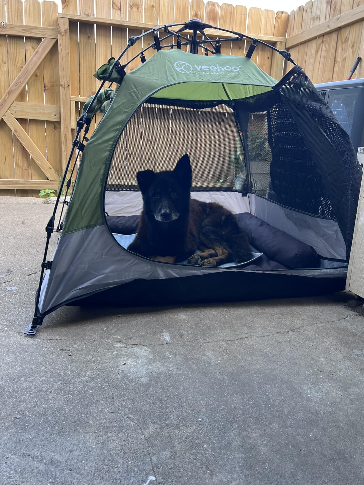 Veehoo Pop Up Dog Tent House for Indoor Outdoor, Portable & Waterproof Dog Canopy Shelter with Cool Mesh, Foldable Automatic Pet Tent for Dogs with Camping Mat and Bag for Large & Extra Large Dogs customer photo 2