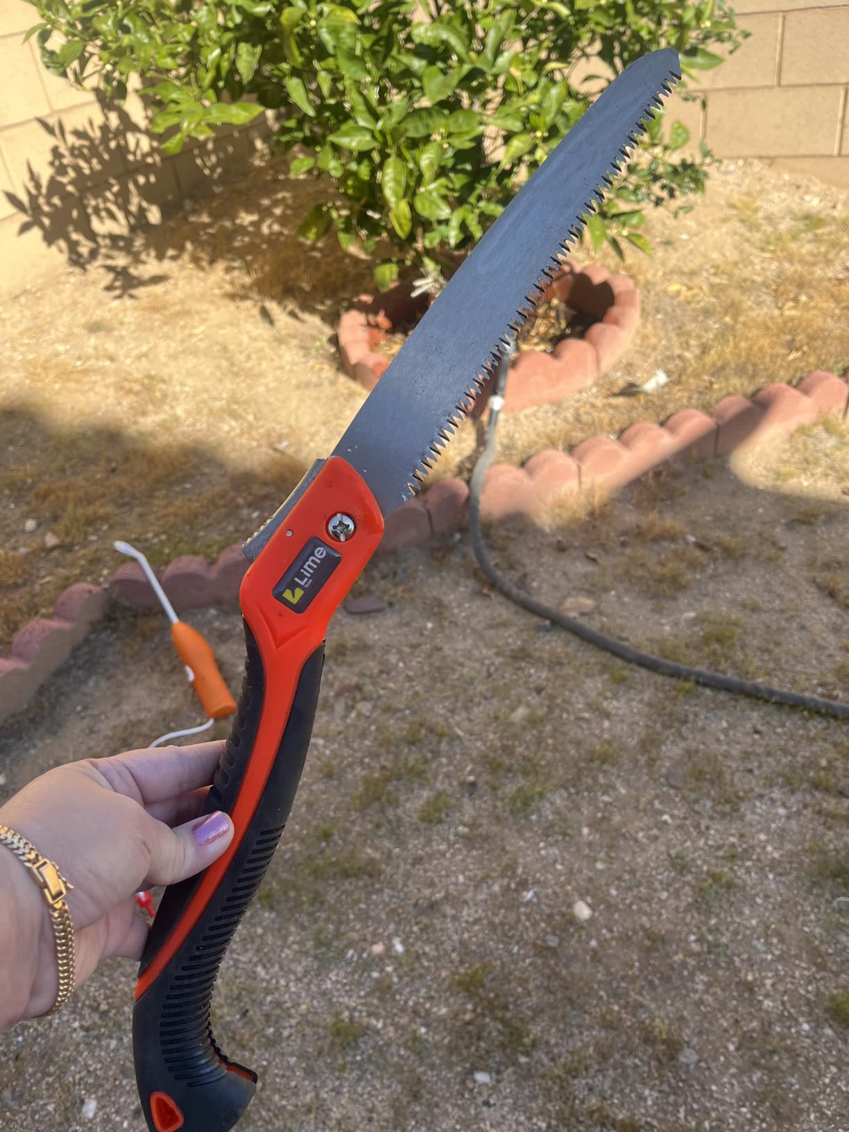Folding Camping saw 11 Inch - Heavy Duty Pruning Saw with Triple-Cut SK5 Blade, 7 TPI Razor Teeth for Tree Trimming, Wood Cutting, Camping, Bushcraft, and Gardening customer photo 1
