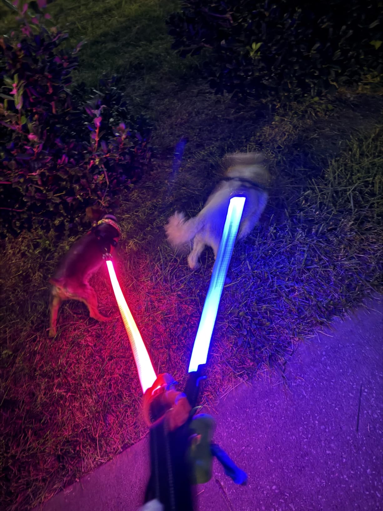 5 Ft LED Dog Leash, Light Up & Lighted Dog Leash, 7 Lighting Modes, Glow in The Dark, Reflective, Double-Sided Light, Rechargeable with Padded Handle for Night Walking Safety customer photo 2
