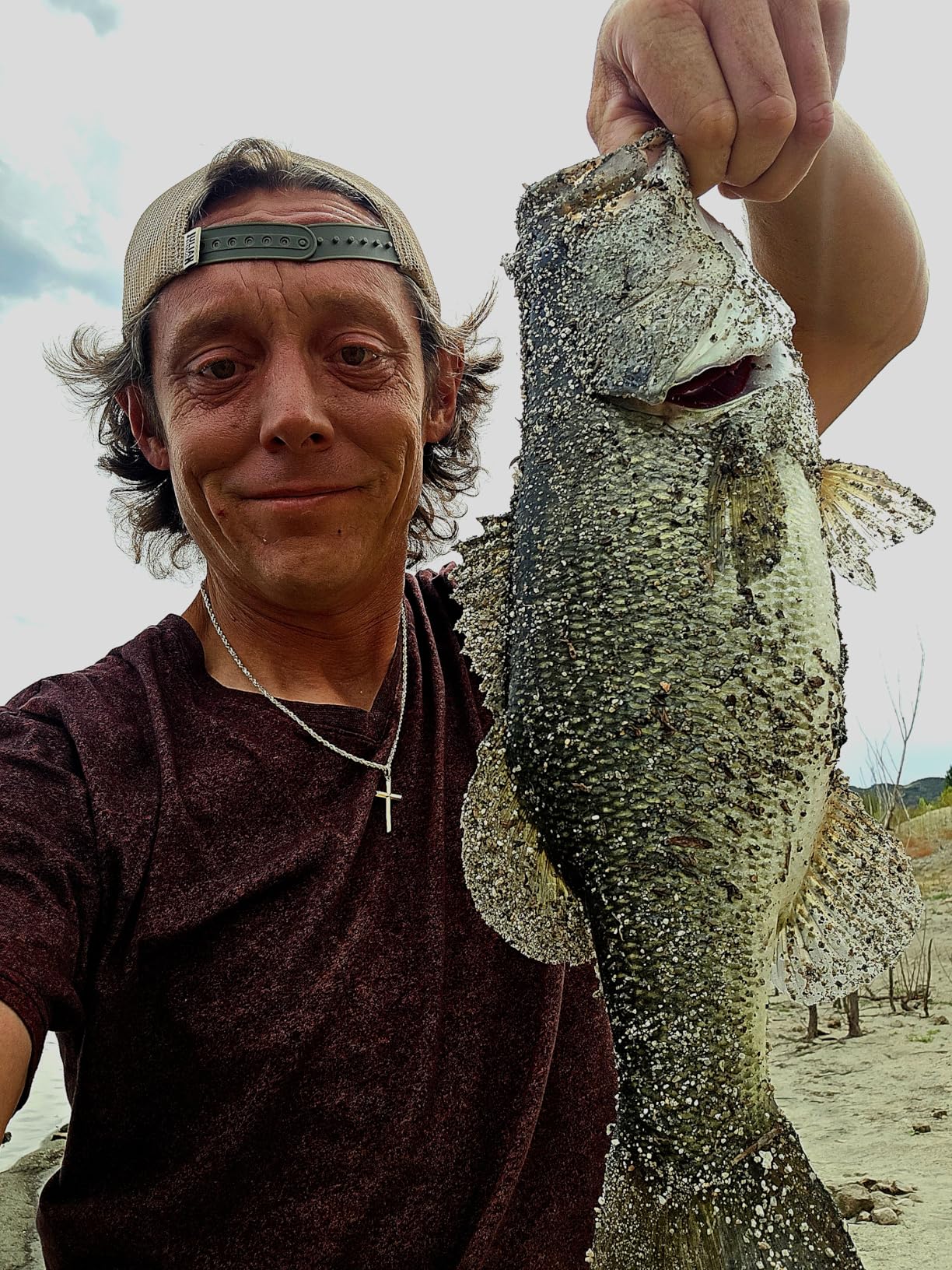 Heddon Pop'N Image Topwater Fishing Lure - Excellent Popping and Walk-The-Dog Action customer photo 1