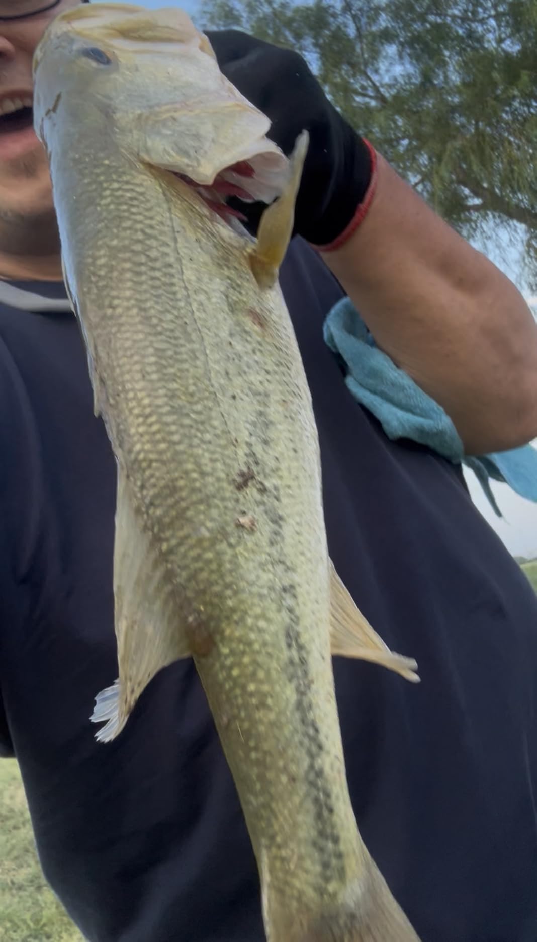 BOOYAH Pond Magic Small-Water Spinner-Bait Bass Fishing Lure customer photo 2