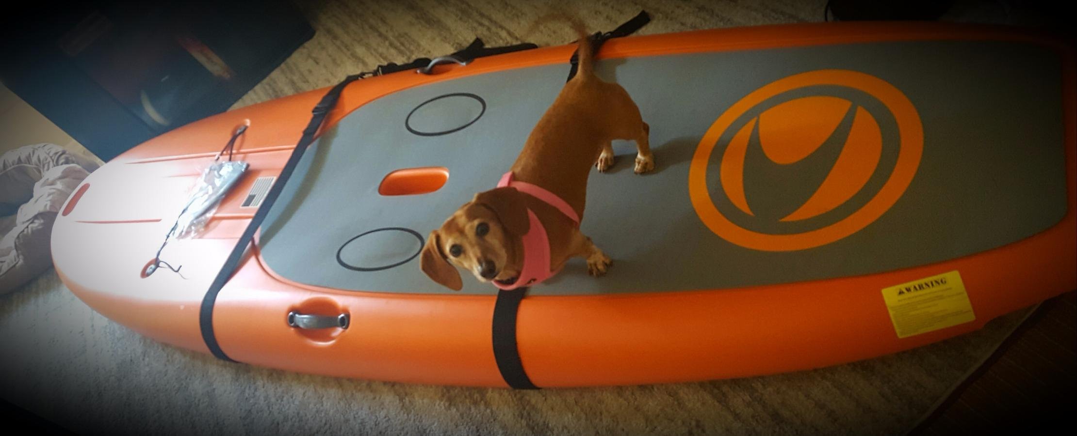 Big Board Schlepper Stand Up Paddleboard Easy Carry Strap SUP Shoulder Sling Holder Board Carrier customer photo 1