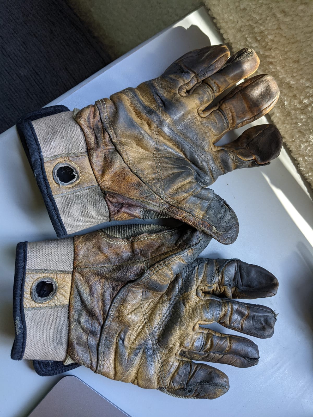PETZL CORDEX Lightweight Belay/Rappel Gloves customer photo 1