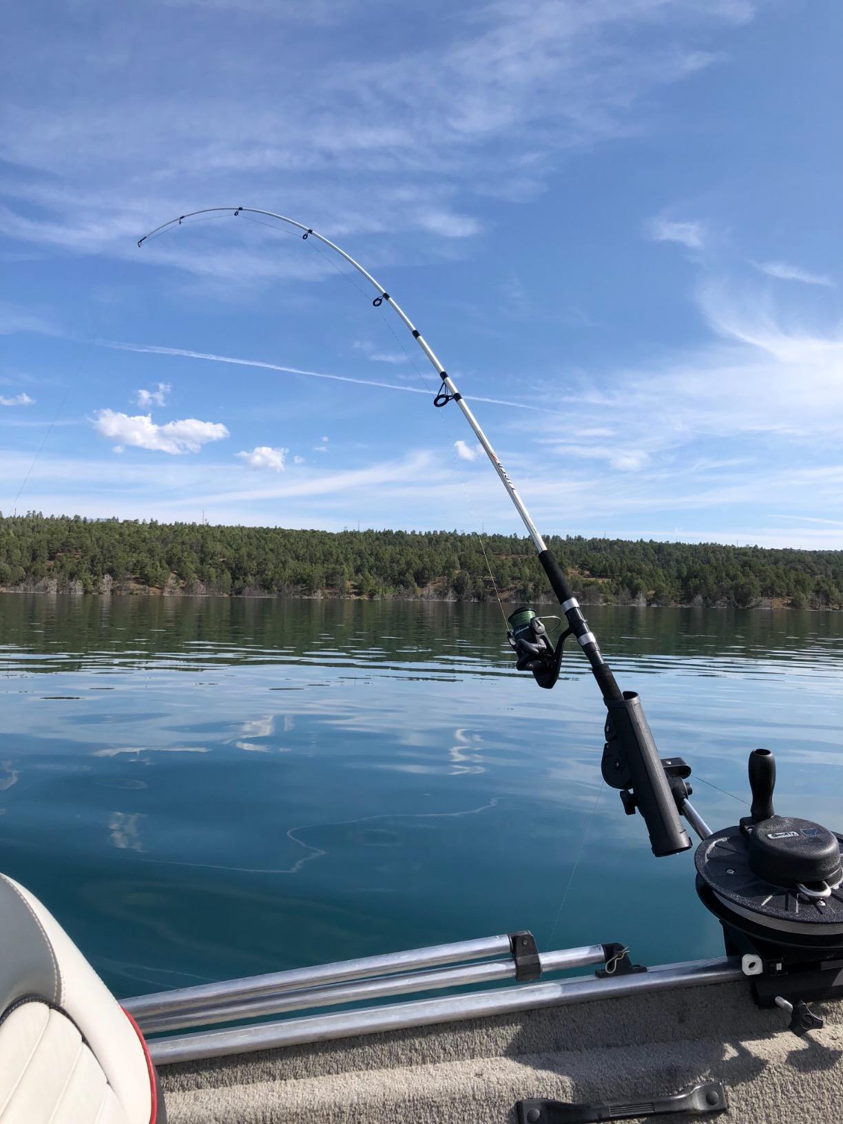 Scotty #1060 Depthking Manual Downrigger, Display Packed w/ Rod Holder | Ideal for the small boat that fishes deep and needs to get the catch up quick. customer photo 1