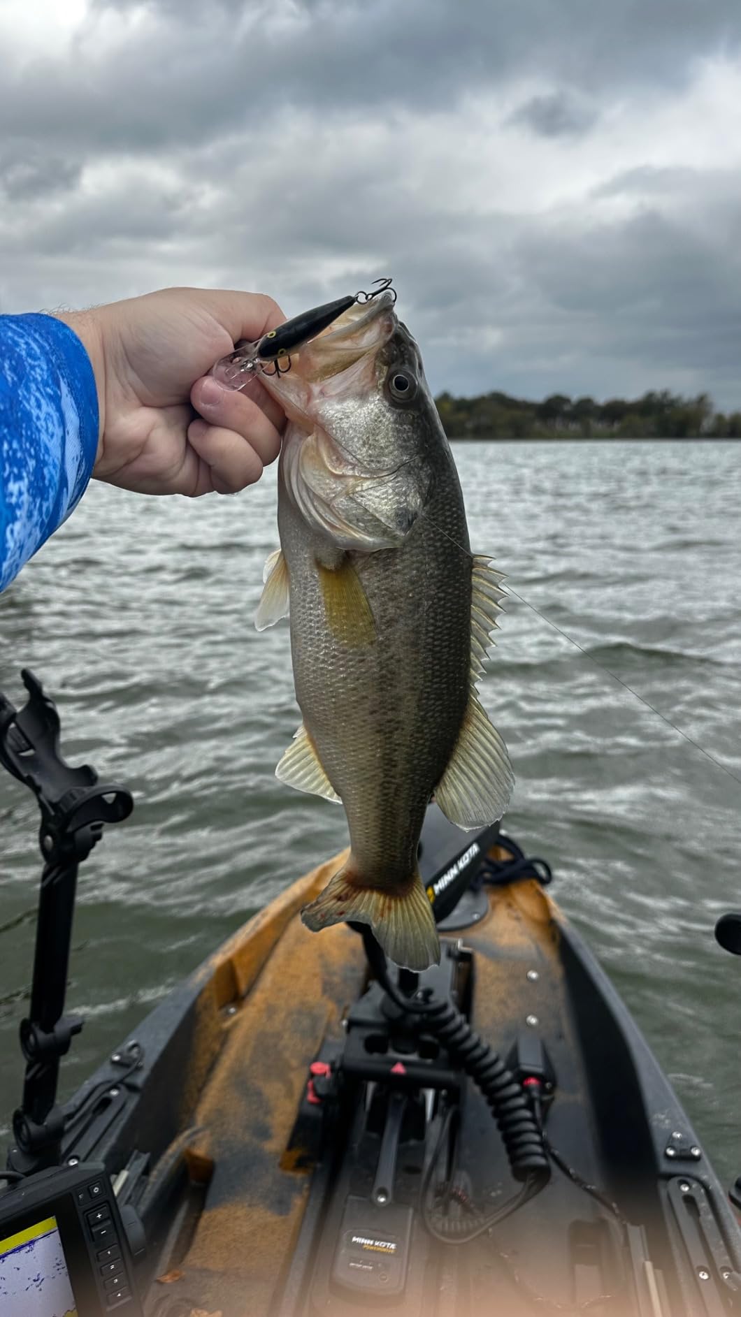 Rapala Shad Rap 05 Fishing Lures customer photo 1