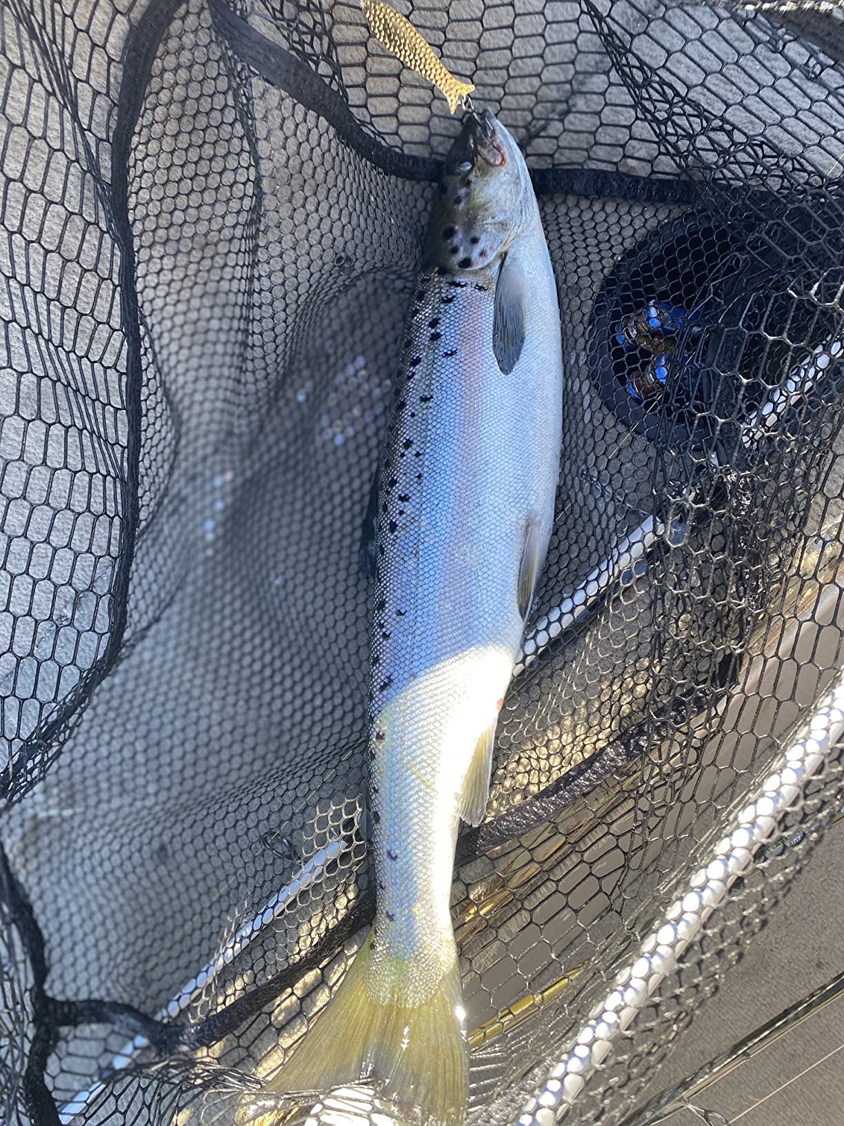 Okuma Classic Pro GLT & Rods customer photo 2
