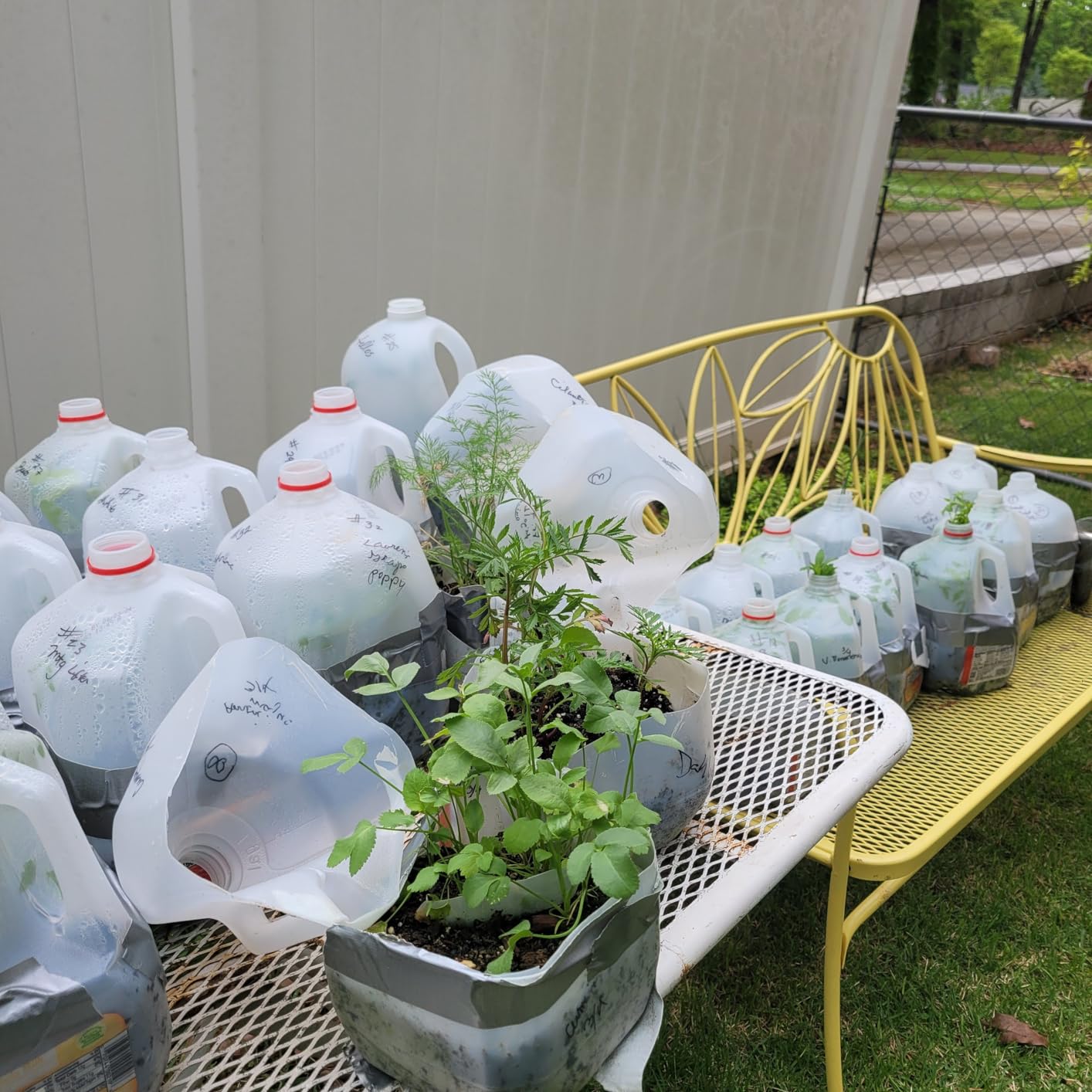 Duck Brand Max Strength Duct Tape - 1 Roll - Heavy Duty Hold - 1.88 Inch x 45 Yards - Silver (240201) customer photo 1