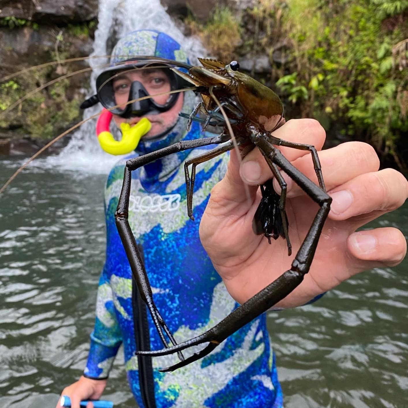 Hollis M-1 Mask - Ideal for Scuba Diving and Snorkeling - Ultra Clear Glass, Frameless Silicon Skirt customer photo 2