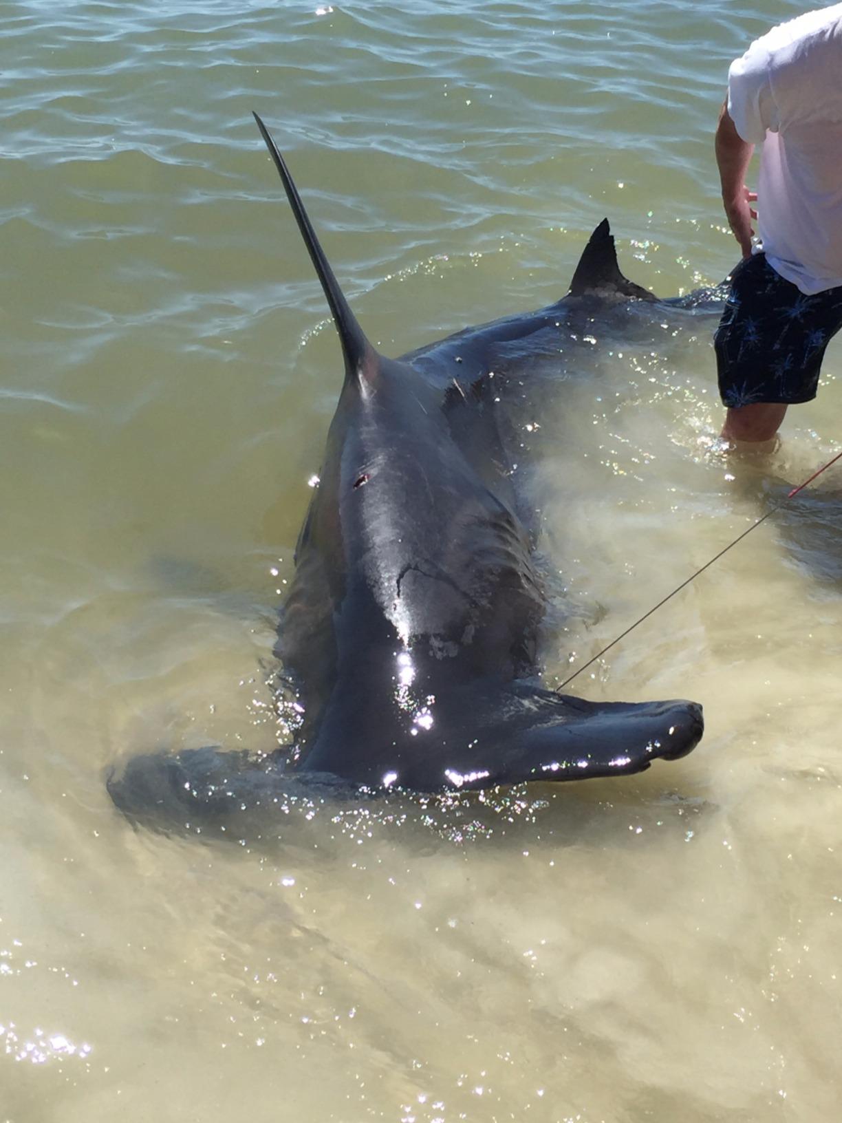 COMPOSIT 80-130LB THE BOSSHOSS Saltwater Big Game Roller Rod customer photo 1