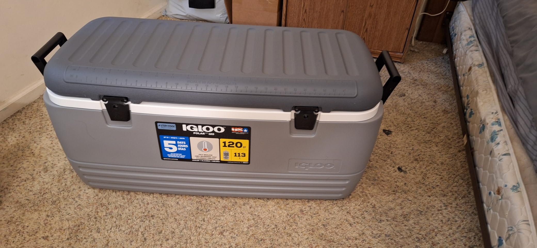 Igloo Hard Cooler | Polar & Party Bar Series | Insulated Ice Chests customer photo 2