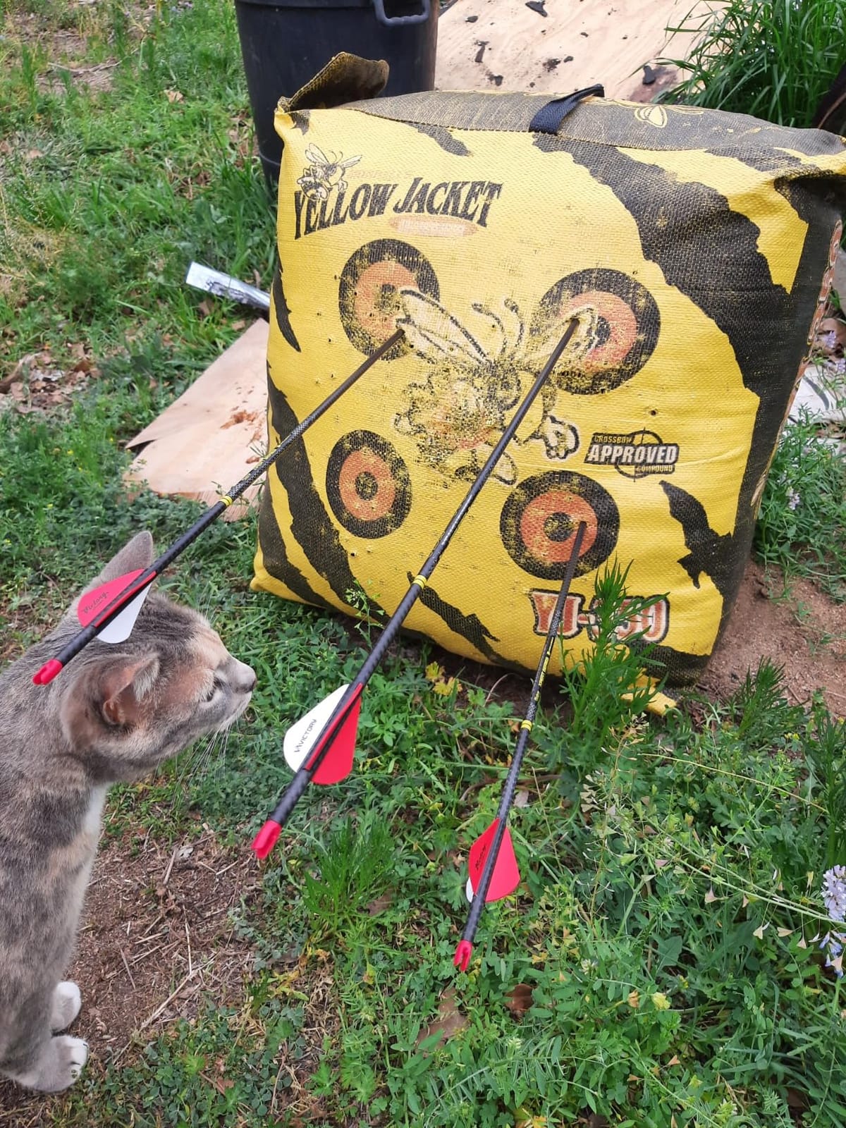 Spot Hogg Wiseguy Rigid Archery Release customer photo 1