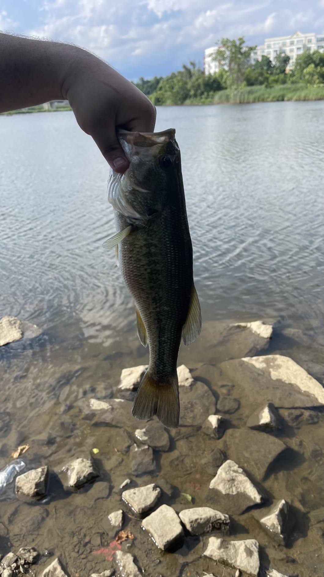 Ugly Stik GX2 Spinning Reel and Fishing Rod Combo customer photo 1