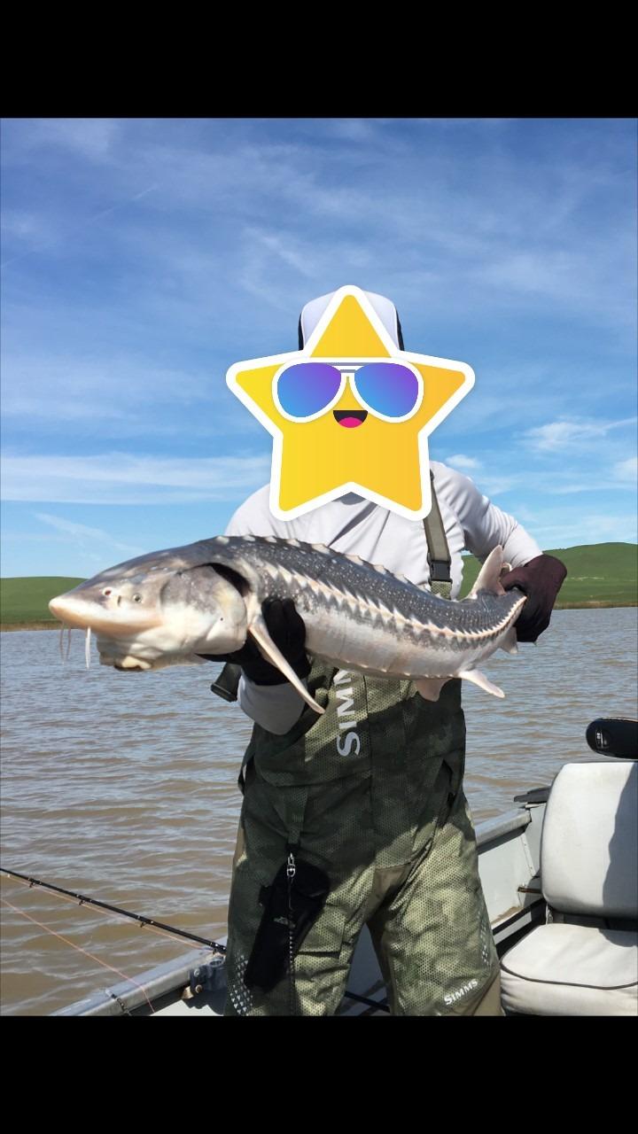 Daiwa Salmon Mooching Reel customer photo 2