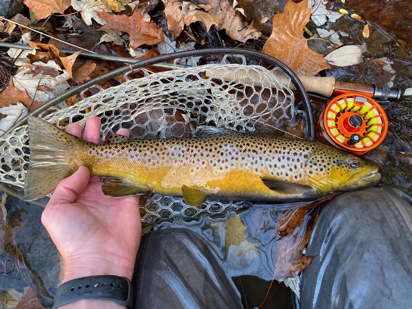 Smith Creek Rod Clip with Zinger customer photo 1
