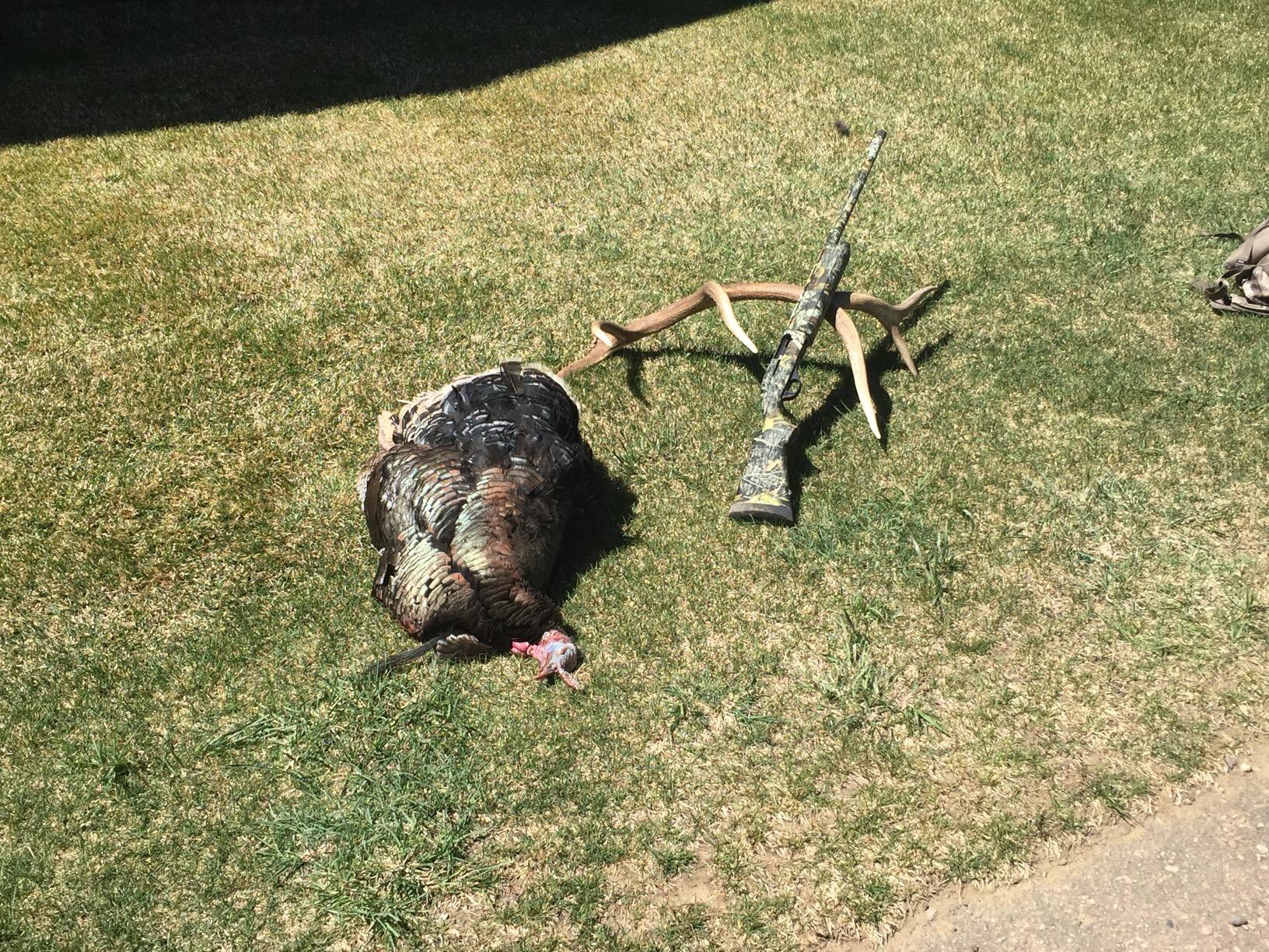 Primos Hunting Hook-Up Magnetic Box Call customer photo 2