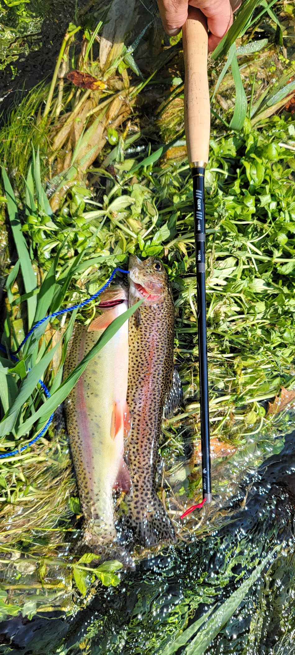 Tenkara USA Fly Fishing SATO Rod, for Large & Small Fish - Carbon Fiber, Lightweight, Telescopic, Adjustable, 3 Multi-Lengths (10'8