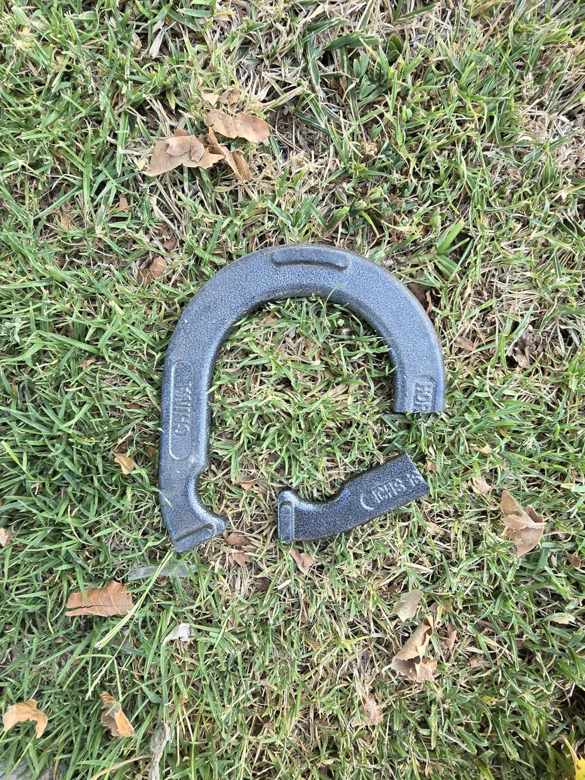 Triumph Forged and Steel Horseshoe Set Complete with 4 Horseshoes, 2 Stakes - Patriotic or Blue and Grey Colors customer photo 1
