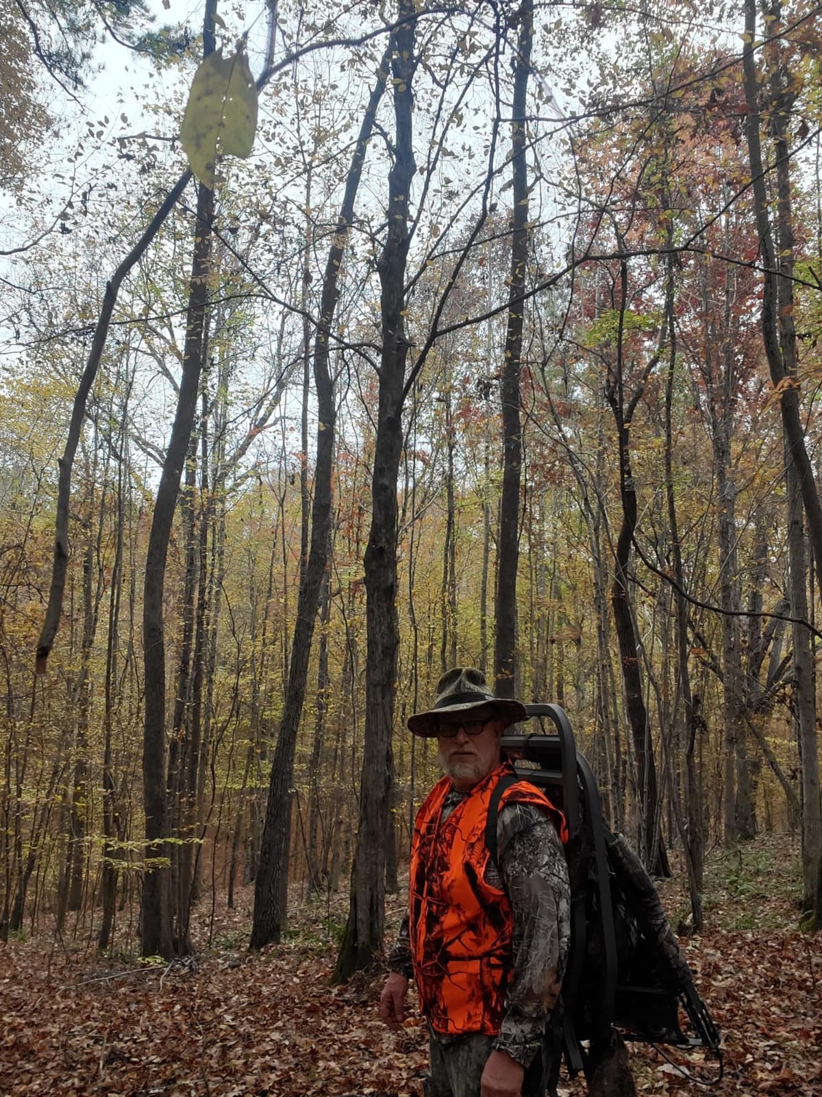 Summit Treestands Titan SD Climbing Treestand customer photo 1