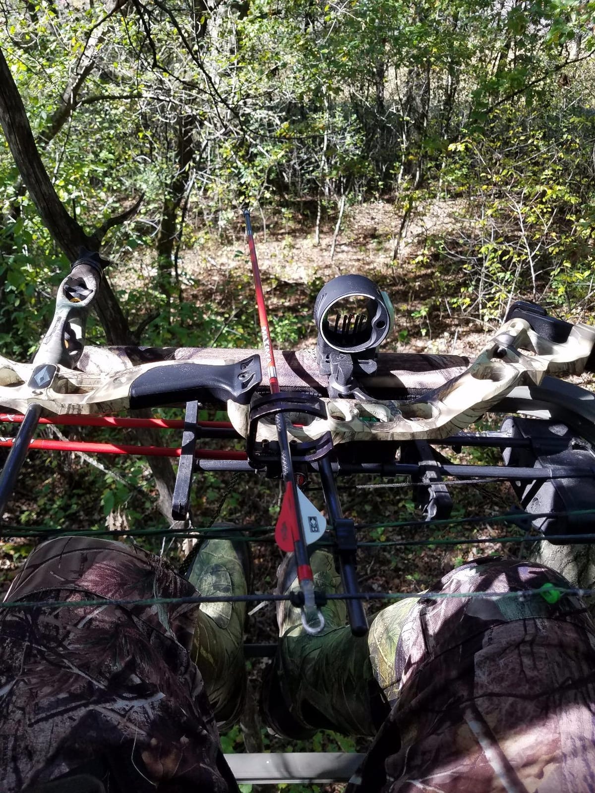 Summit Treestands Titan SD Climbing Treestand customer photo 2