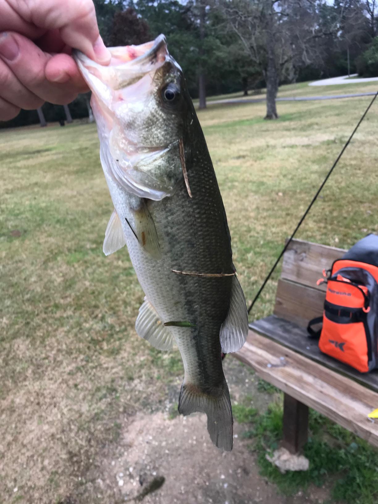 Liquid Mayhem Bass Fish Attractant Gel 60 ml / 2 oz - Real Anchovy Bait & Aminos | UV-Enhanced Long-Lasting Gel - All Lure Types customer photo 2