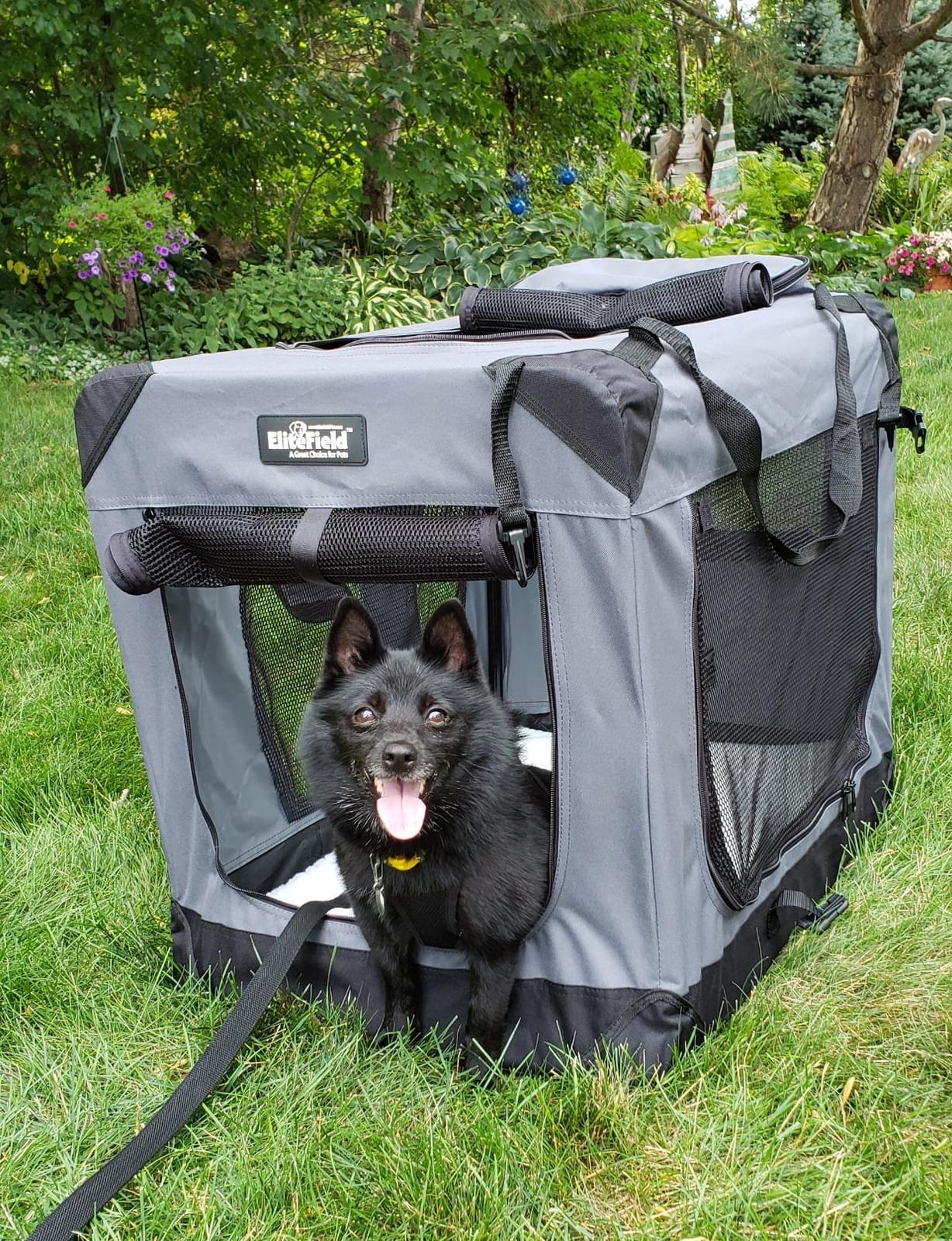 EliteField 3-Door Soft Dog Crate with Bed & Carrying Bag (2-Year Warranty) | 3 Mesh Doors, Steel Frame, Removable & Washable Crate Cover and Bed Cover, Storage Pockets, Indoor/Outdoor, Foldable customer photo 2