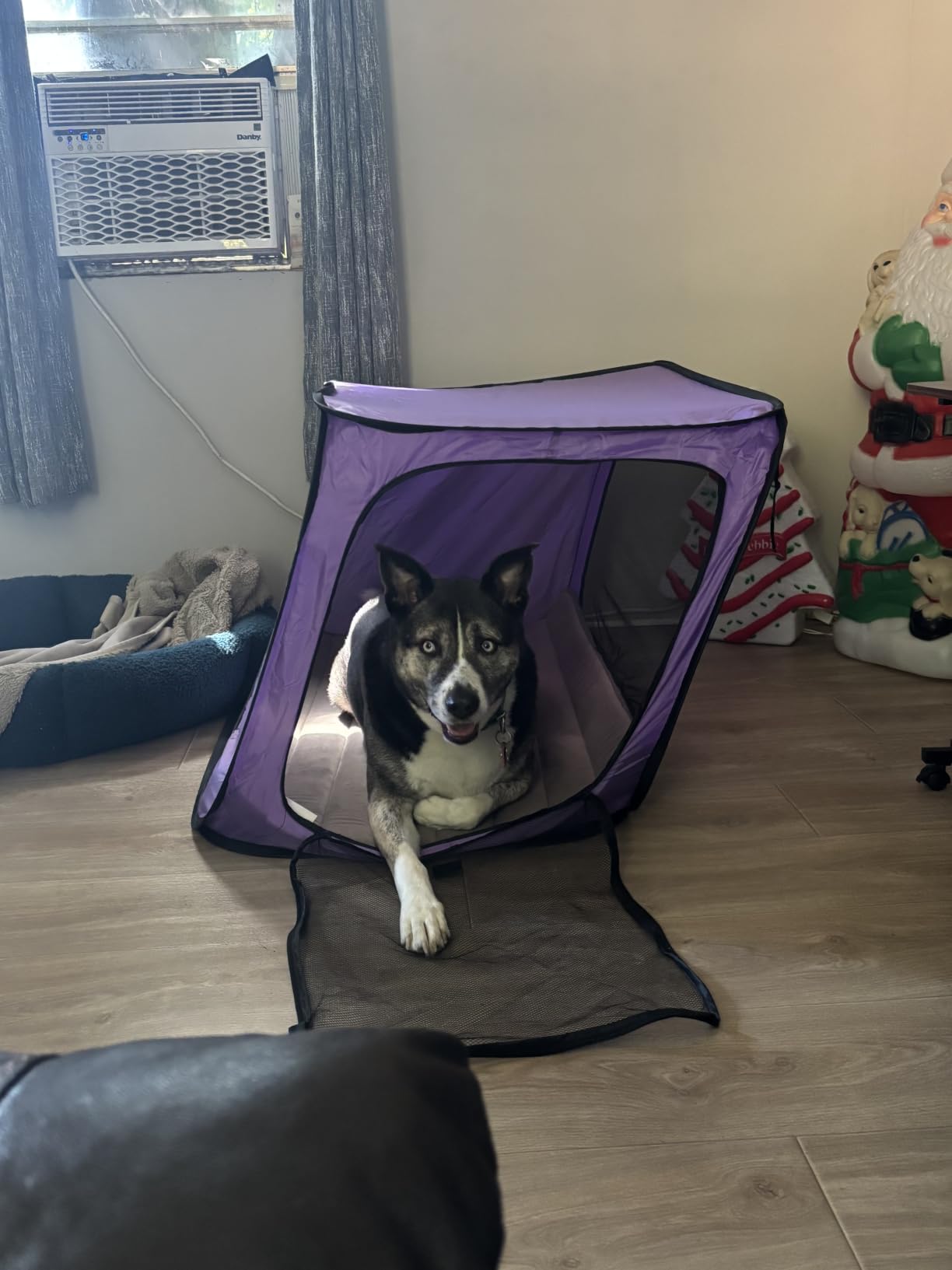 Portable Collapsible Pop Up Kennel, 32.5