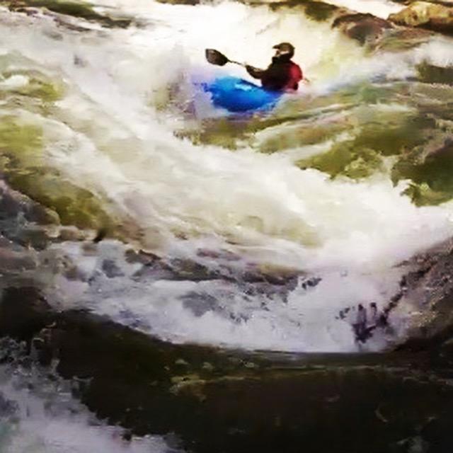 Werner Paddles Desperado CF 1 Piece Straight Shaft Kayak Paddle - Lightweight Carbon-Fiber Reinforced Paddle for Whitewater customer photo 1