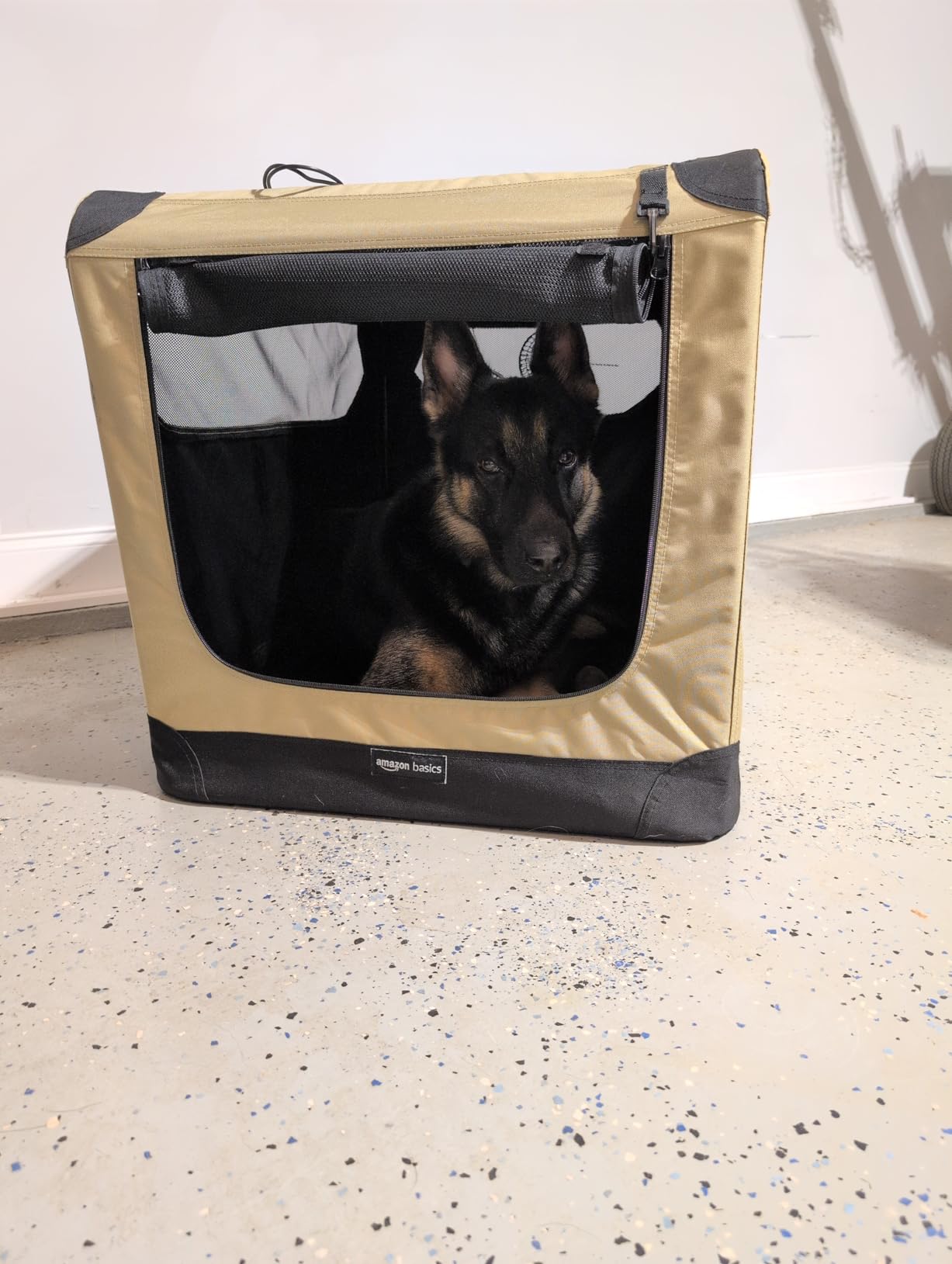 Amazon Basics Portable Folding Soft Dog Crate, Double Door, Collapsible Travel Kennel, Easy to Assemble, Medium, 29.92