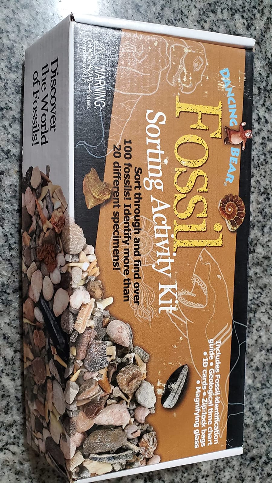 DANCING BEAR Fossil Collection Sorting Activity Kit with Over 100 Pcs (More Than 20 Different Fossil Varieties!), Educational ID Sheet, Color ID Cards, Bags, Magnifying Glass, and Shark Teeth customer photo 1