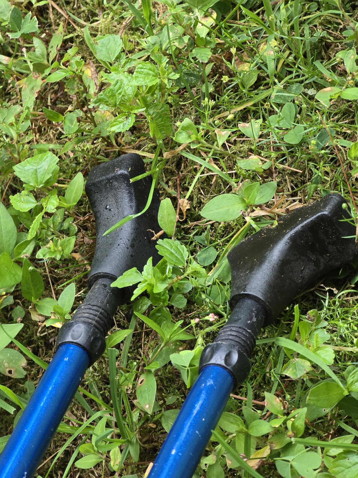 A ALAFEN Replacement Rubber Tips Set for Trekking Pole Walking Hiking Sticks Tips Protectors customer photo 1
