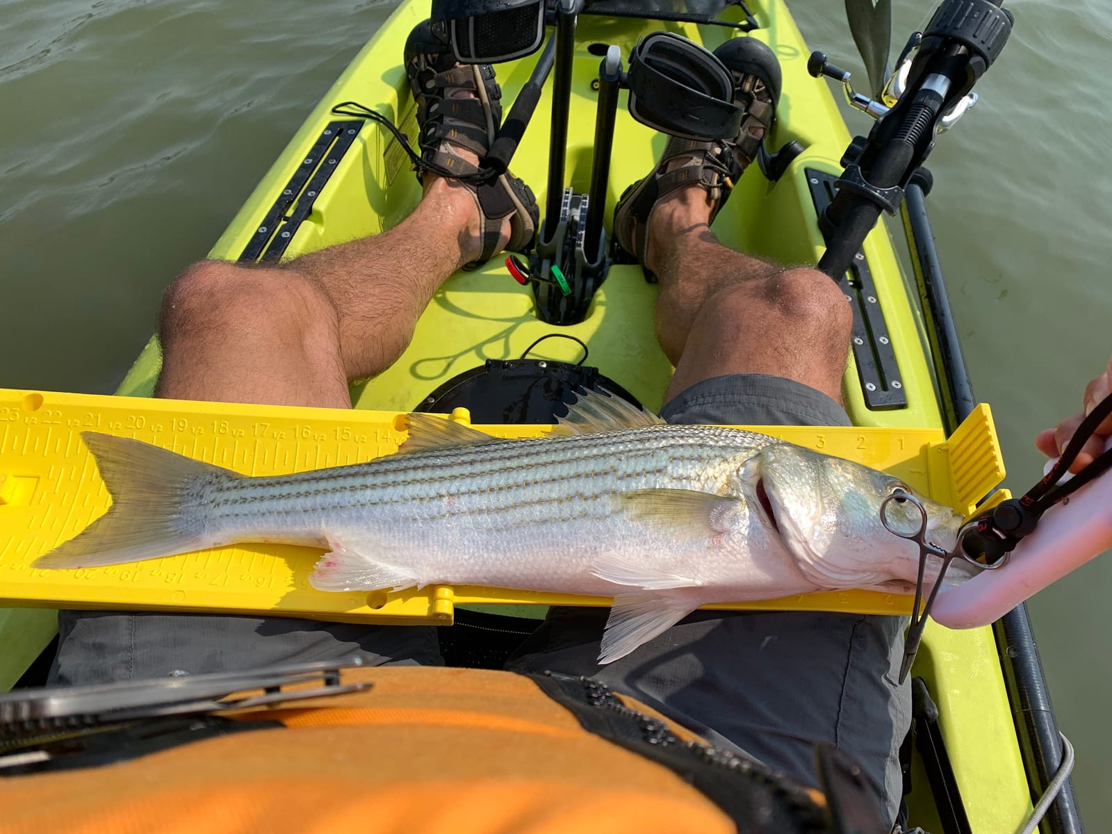 YakGear Fish Stik - Folding Fish Ruler customer photo 2