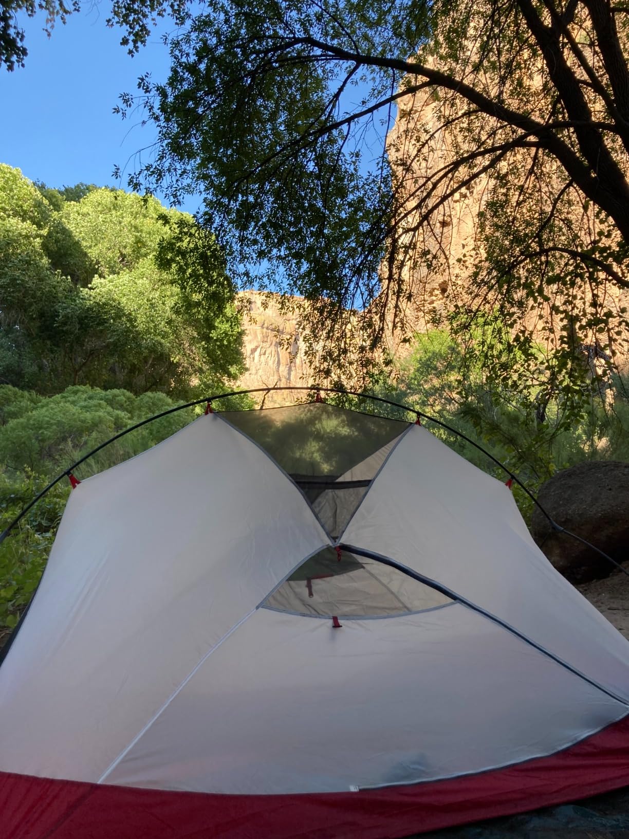 Amazon Basics Waterproof Multipurpose Camping Tarp with Reinforced Corners and Edges, Protective Cover, 9.5 x 11.3 Feet, Dark Green customer photo 1