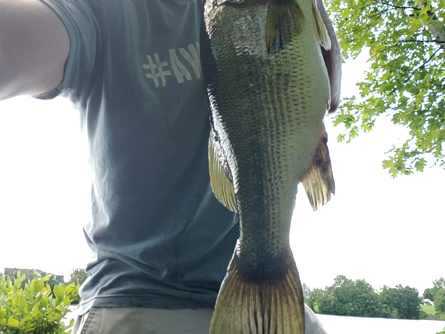 Berkley Lightning Rod Spinning Fishing Rod customer photo 2