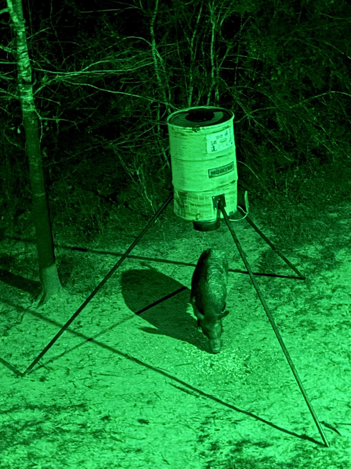 Elusive Wildlife Kill Light Outfitter Motion-Activated Feeder Light, 20000 Lumen Solar Powered Green Hunting Light, PIR Motion Sensor, Rechargeable, Selectable Brightness for Hog & Predator Hunting customer photo 1