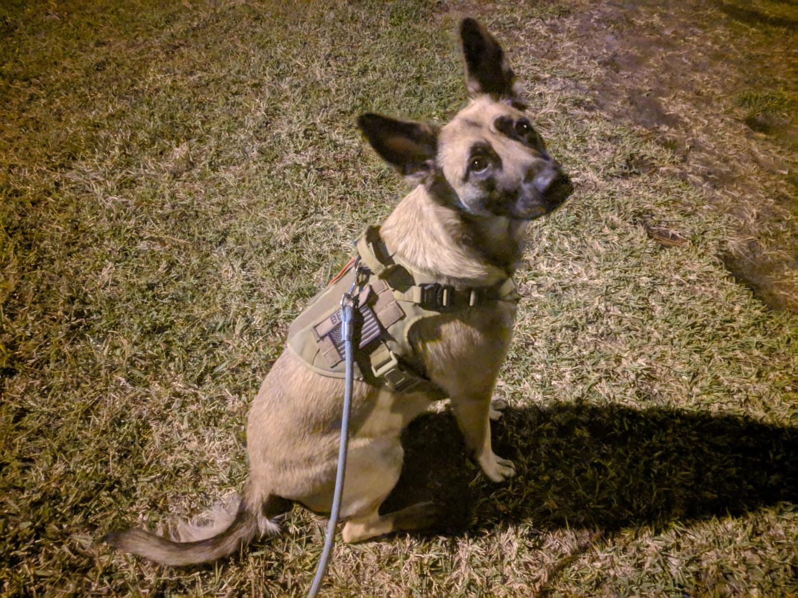 ICEFANG Tactical Dog Harness for Large Dogs, Reflective No Pull Dog Vest | with Control Handle, Adjustable, Front Hook, 2 Leash Clips, Soft Padded, MOLLE Panel, Brown, Large customer photo 1
