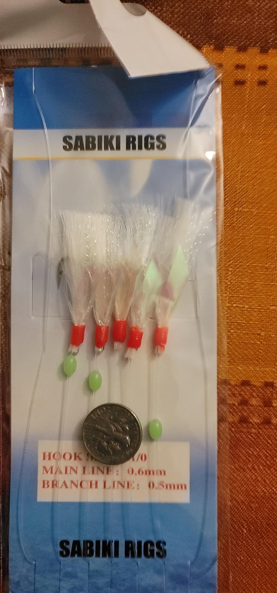 10 Packs Sabiki Rigs Fishing Flasher Lures Bait Rigs Fish Skin, Glow Fishing Beads High Carbon Hooks for Freshwater/Saltwater customer photo 2