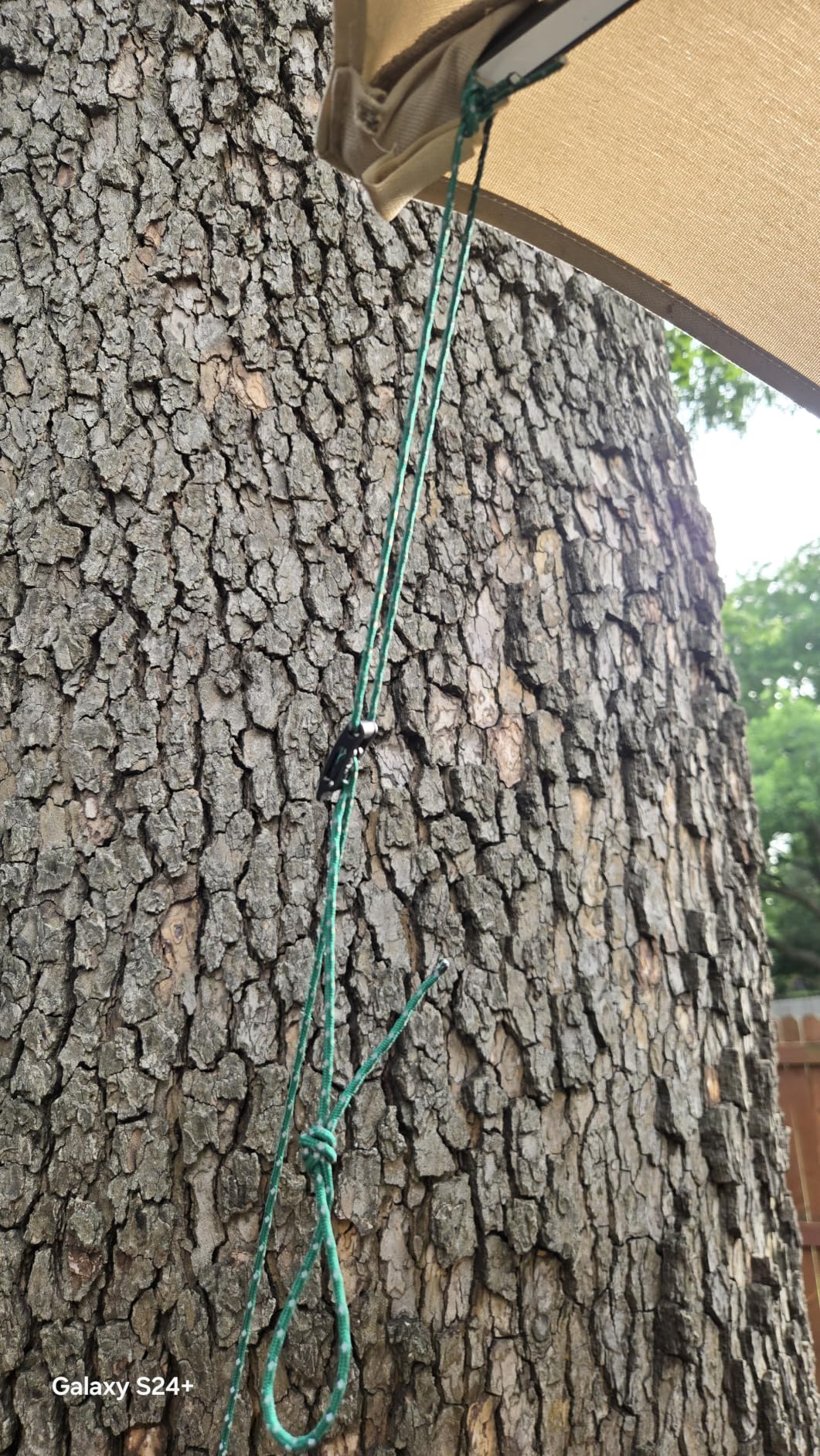LiteOutdoors Guyline & Tensioner Kit - 1.8mm Diameter - 60 or 100 feet - Ultralight Reflective Tent Cord, Lightweight Non-Slip Cord Adjusters. Camping, Hiking, Paracord customer photo 2
