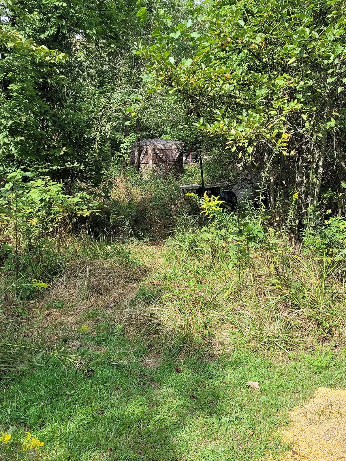 Ameristep Caretaker Hunting Blind customer photo 1