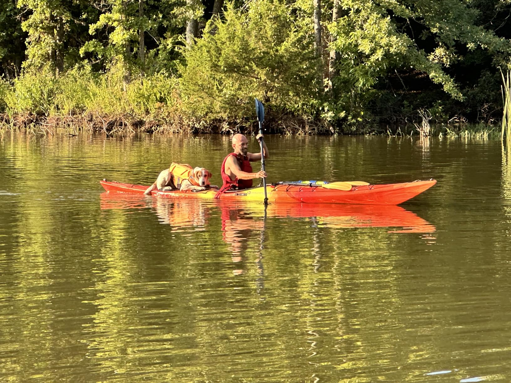 Wilderness Systems Tempest 165 | Sit Inside Touring Kayak | Adjustable Skeg - Phase 3 Air Pro Seating customer photo 1
